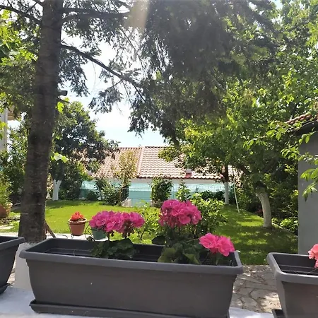 Villa Eleni Vilă
