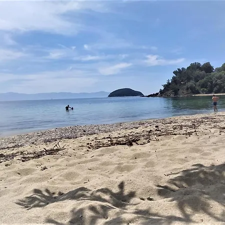 Villa Eleni PalaiónTsiflíkion